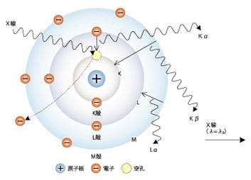 华得隆公司