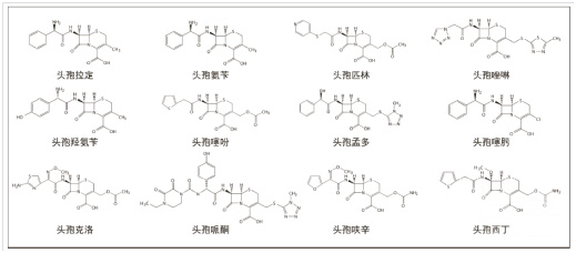 头孢类抗生素12 种成分的结构式