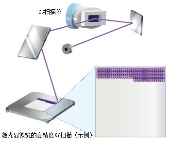 レーザー顕微鏡の高解像XY走査（イメージ）