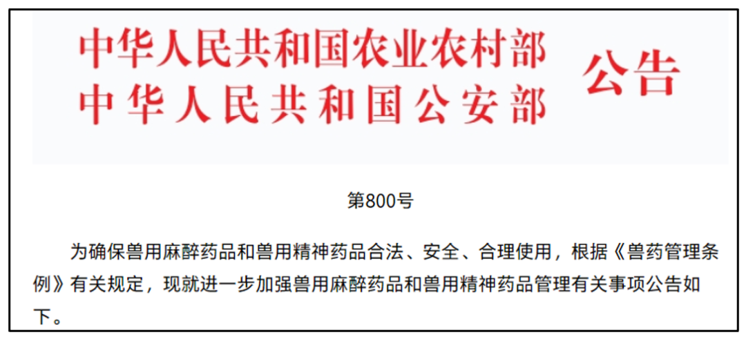 公告
