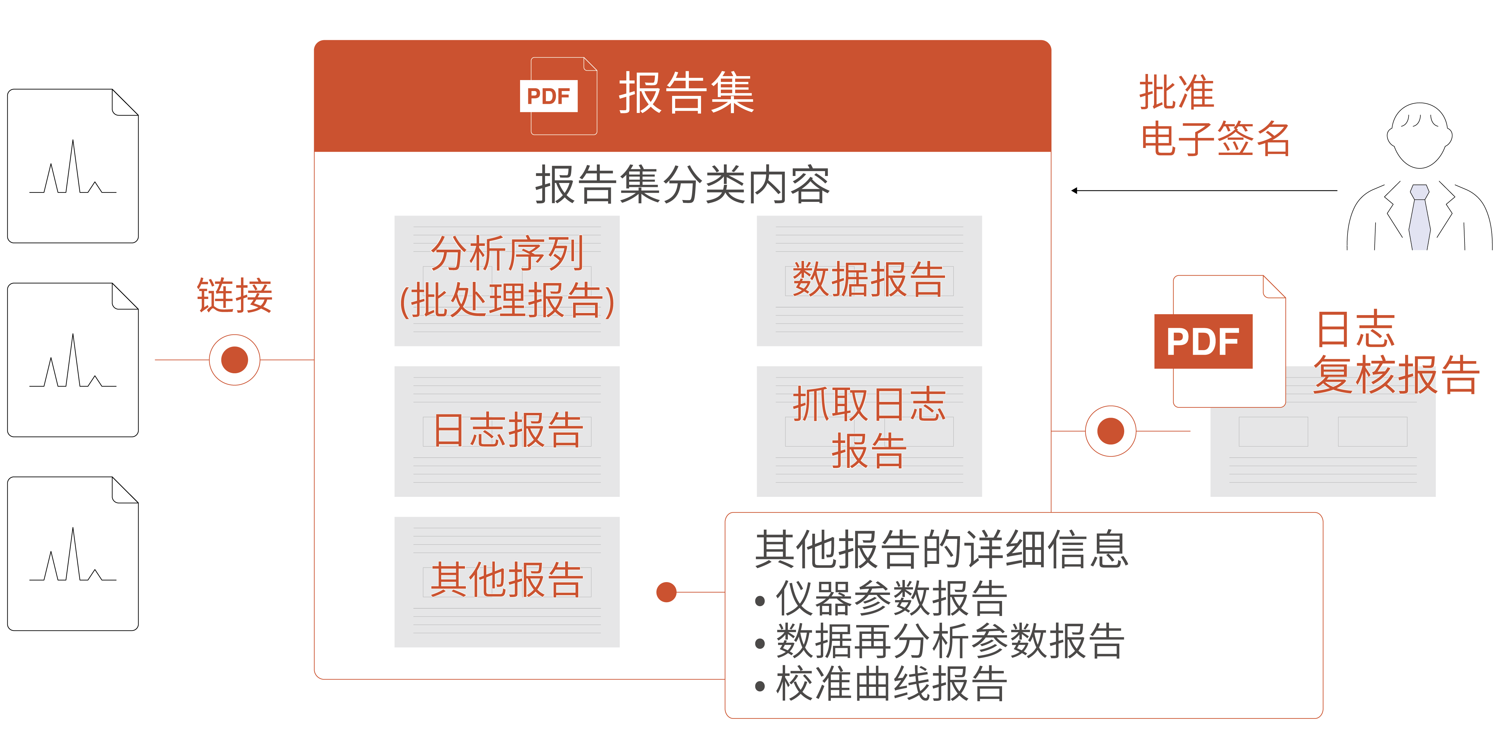 报告