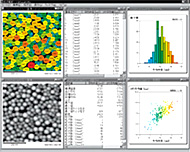 粒度分析软件（选配）