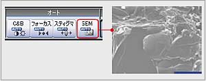 广西科学仪器