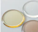 ガラスビード法