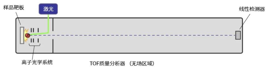 药典