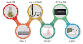 方案
