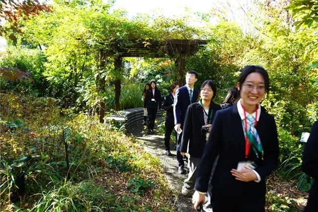 参观