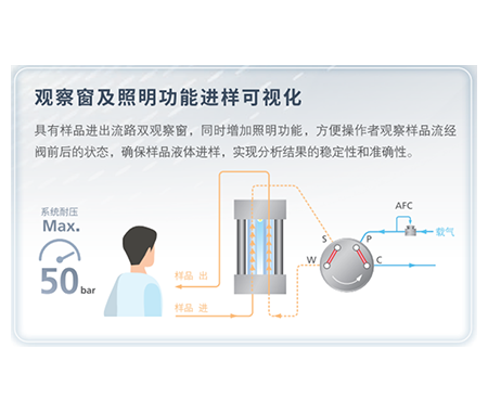 进样可视化