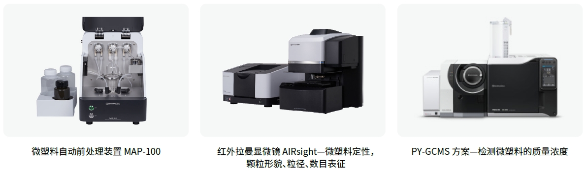 20250113-journal4-img32-1