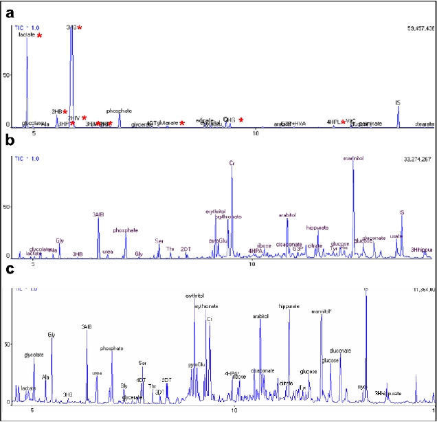 20250319-journal5-img10