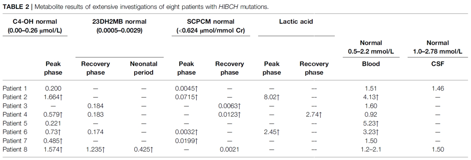 20250319-journal5-img13