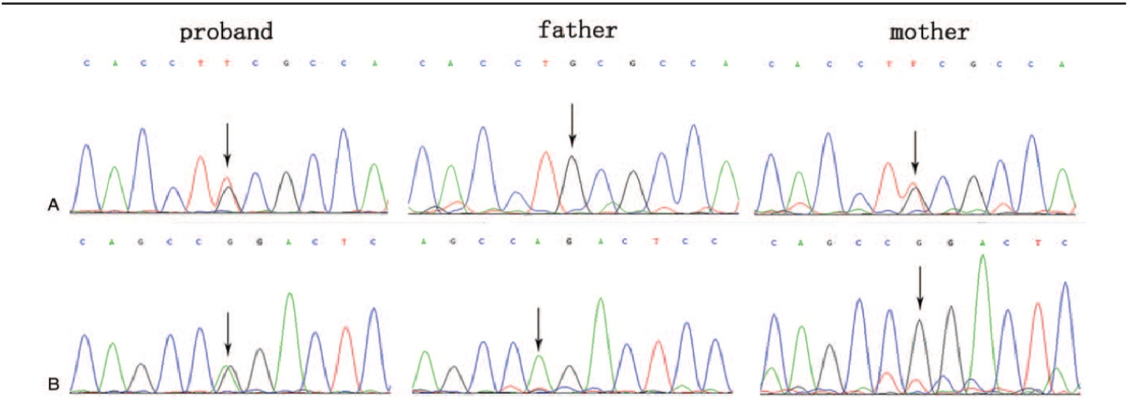 20250319-journal5-img17