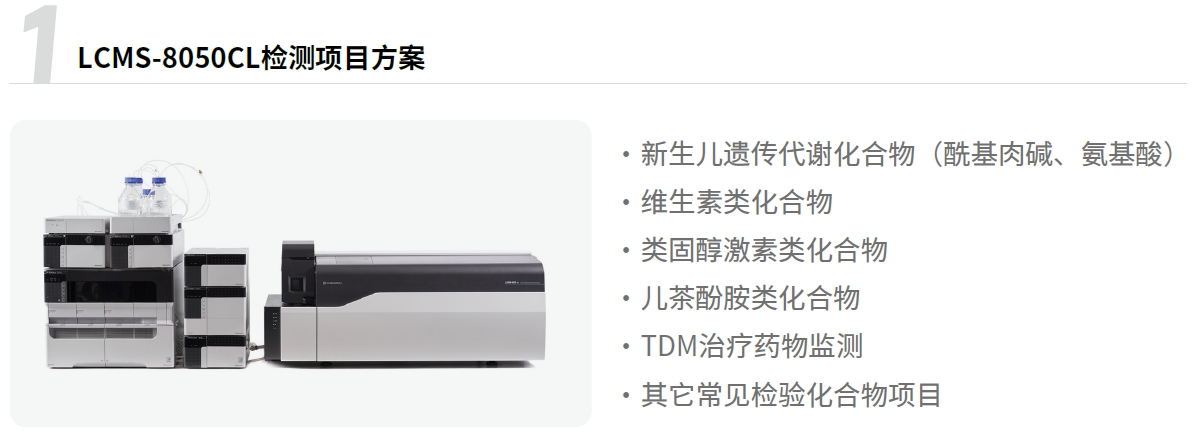 20250319-journal5-img18