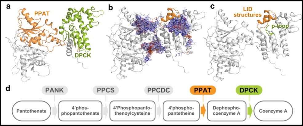 20250319-journal5-img9
