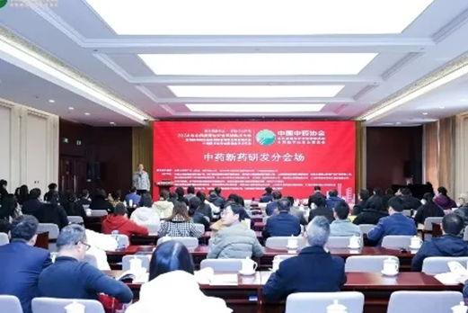 分会场