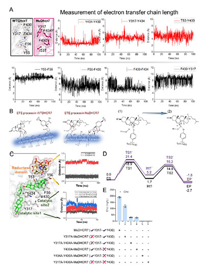 20250319-journal5-img9