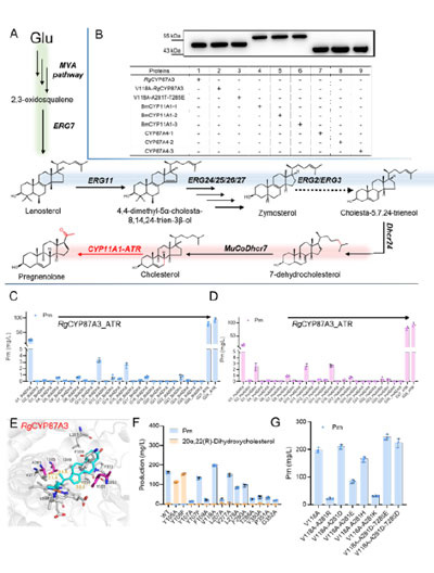 20250319-journal5-img9
