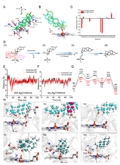 20250319-journal5-img9