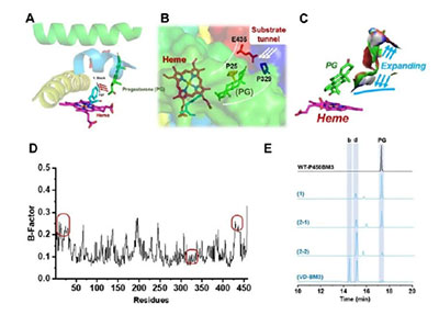 20250319-journal5-img9