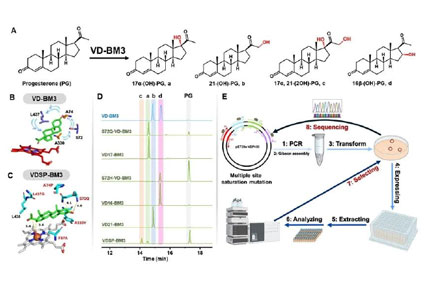 20250319-journal5-img9