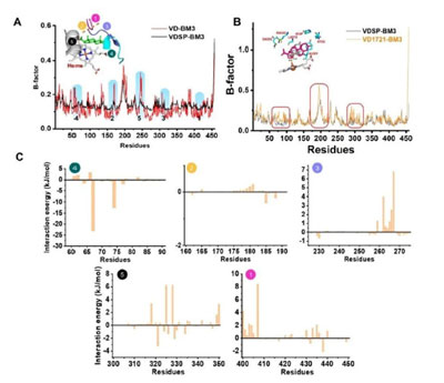 20250319-journal5-img9