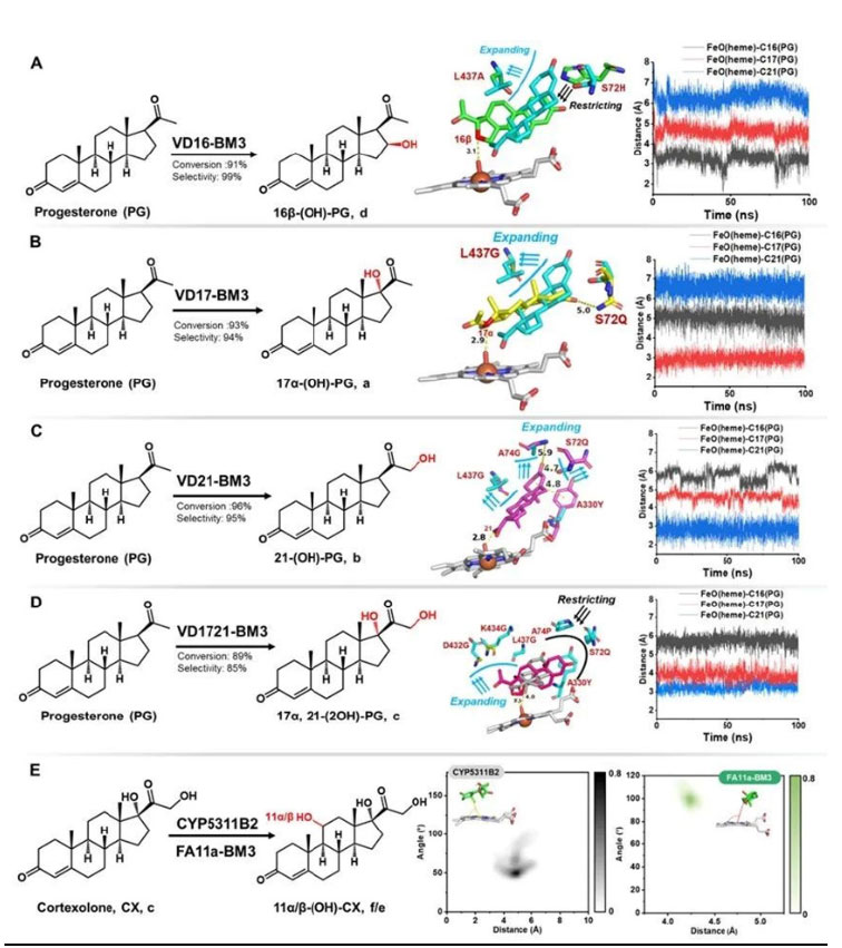 20250319-journal5-img9