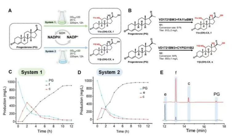 20250319-journal5-img9