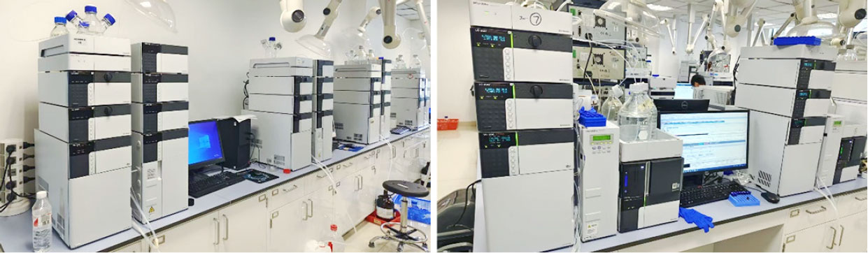 20250319-journal5-img3