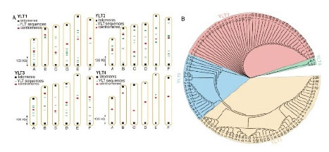 20250319-journal5-img9