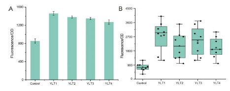 20250319-journal5-img9