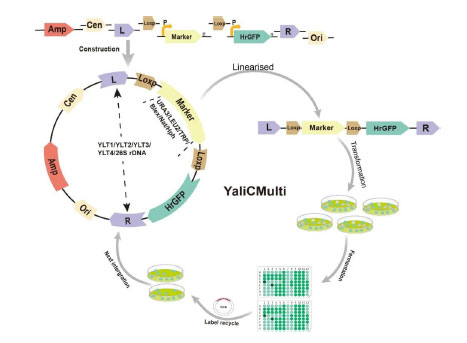 20250319-journal5-img9