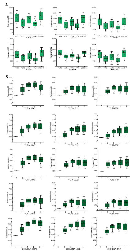 20250319-journal5-img9