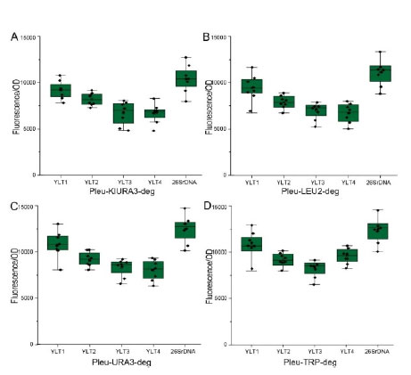 20250319-journal5-img9