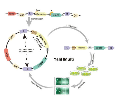20250319-journal5-img9