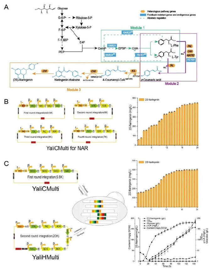 20250319-journal5-img9