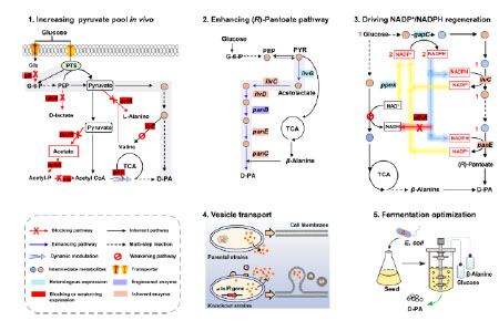 20250319-journal5-img9