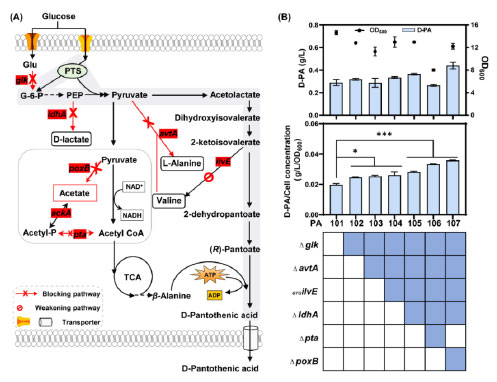 20250319-journal5-img9