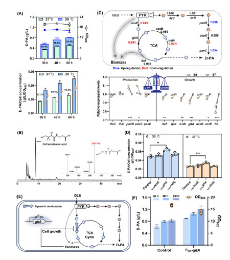 20250319-journal5-img9