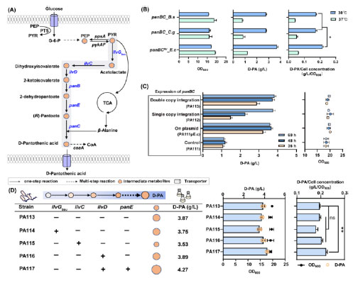 20250319-journal5-img9