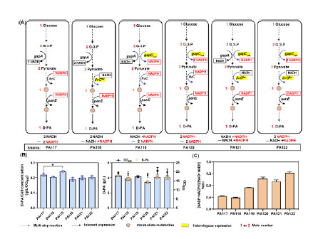 20250319-journal5-img9