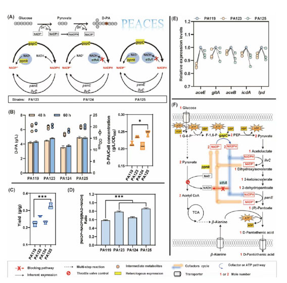 20250319-journal5-img9