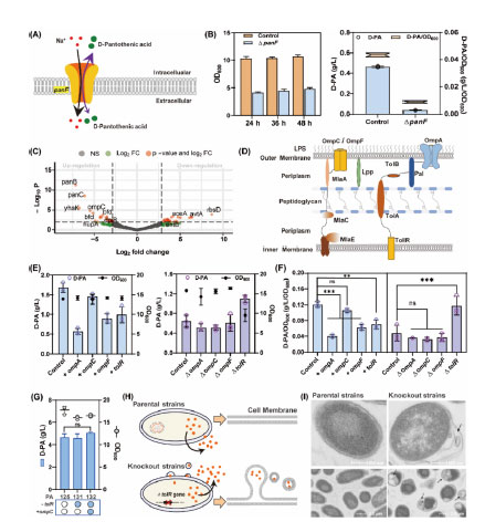 20250319-journal5-img9