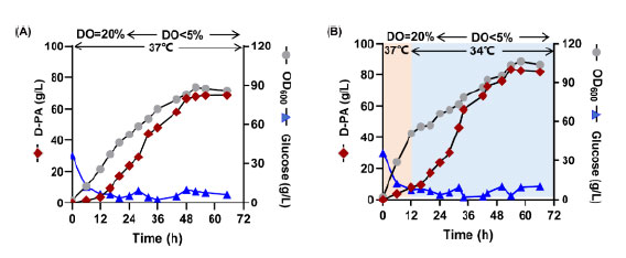 20250319-journal5-img9