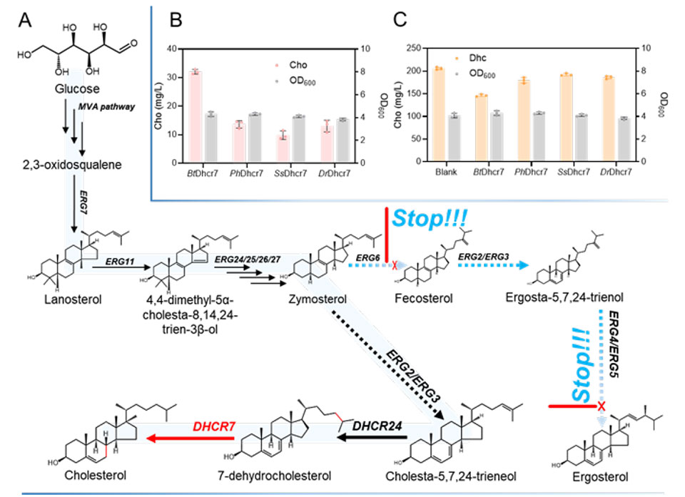 20250319-journal5-img9