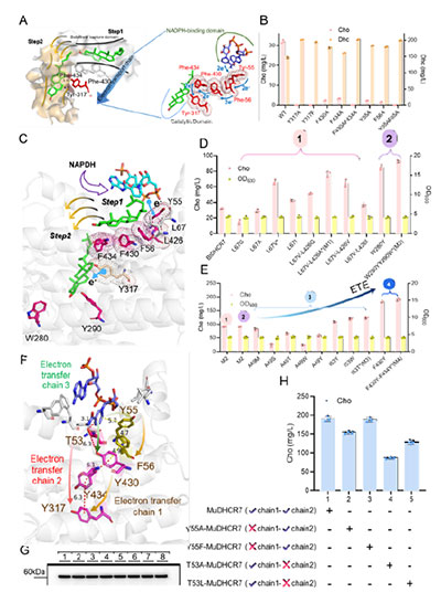 20250319-journal5-img9