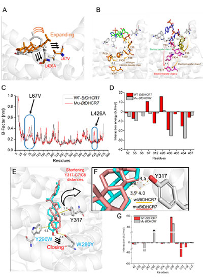 20250319-journal5-img9