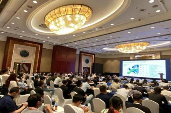 20260109-journal7-img2