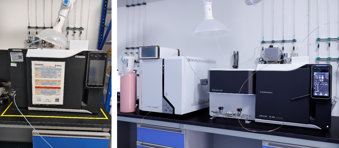 20260109-journal7-img5