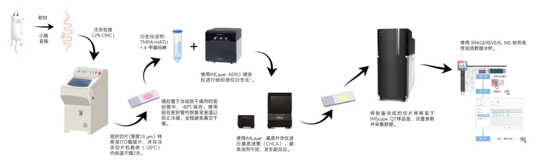 解决方案