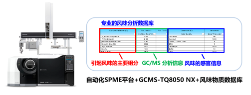 研究成果